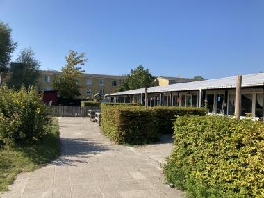 Midtfløjene